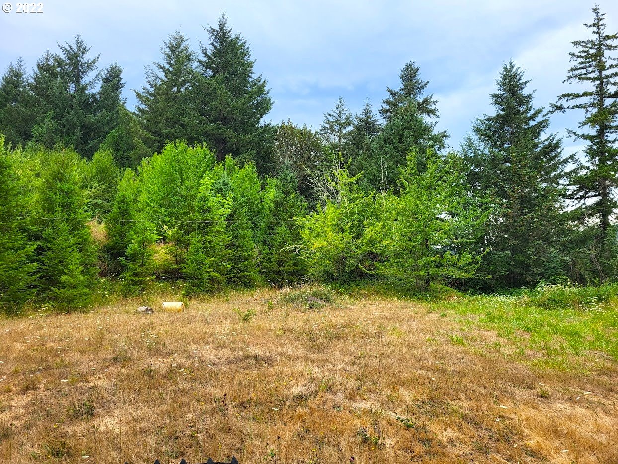 39494 Row River Road Dorena, OR 97434 - Photo 8 of 29 Gallery Image 8