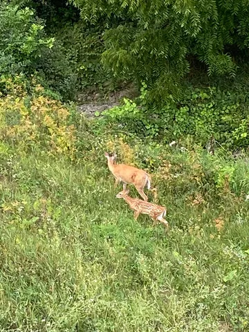 $859,000 | 392 Campbell Hill Court, DeForest, WI 53532