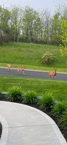 $859,000 | 392 Campbell Hill Court, DeForest, WI 53532