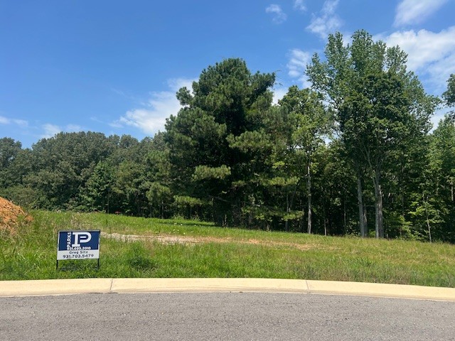 7 Summer Lake Winchester, TN 37398 - Photo 4 of 5