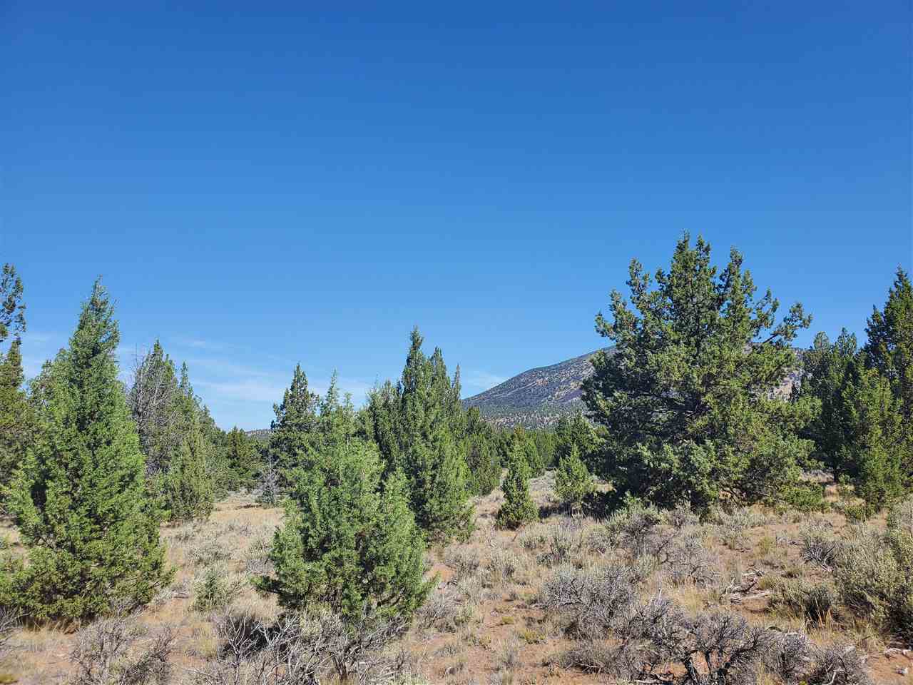 1 Unmarked Road Macdoel, CA 96058 - Photo 11 of 21 Gallery Image 11