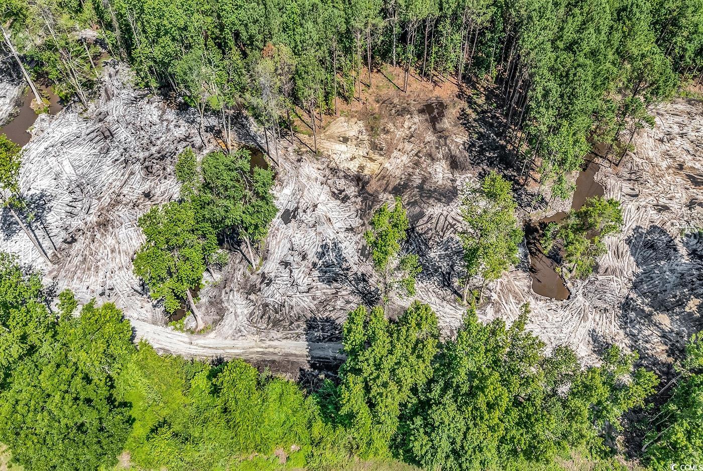 Lot 3 Coats Road Loris, SC 29569 - Photo 3 of 7 Aerial view