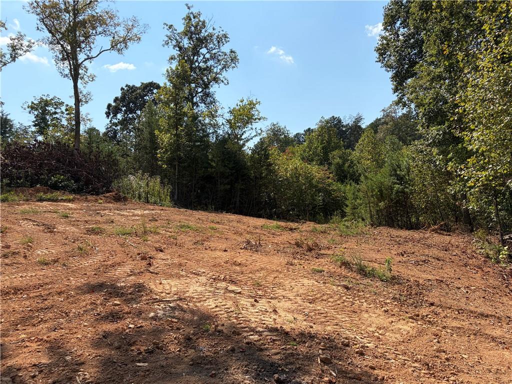 3 Mountain Road Morganton, GA 30560 - Photo 8 of 22 Gallery Image 8