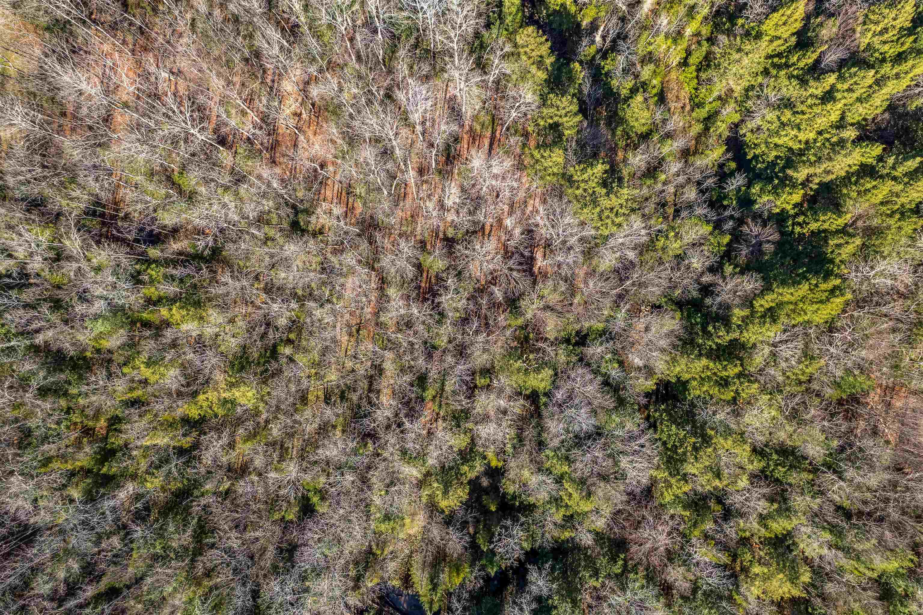 132 Brook Road Chelsea, VT 05038 - Photo 41 of 49