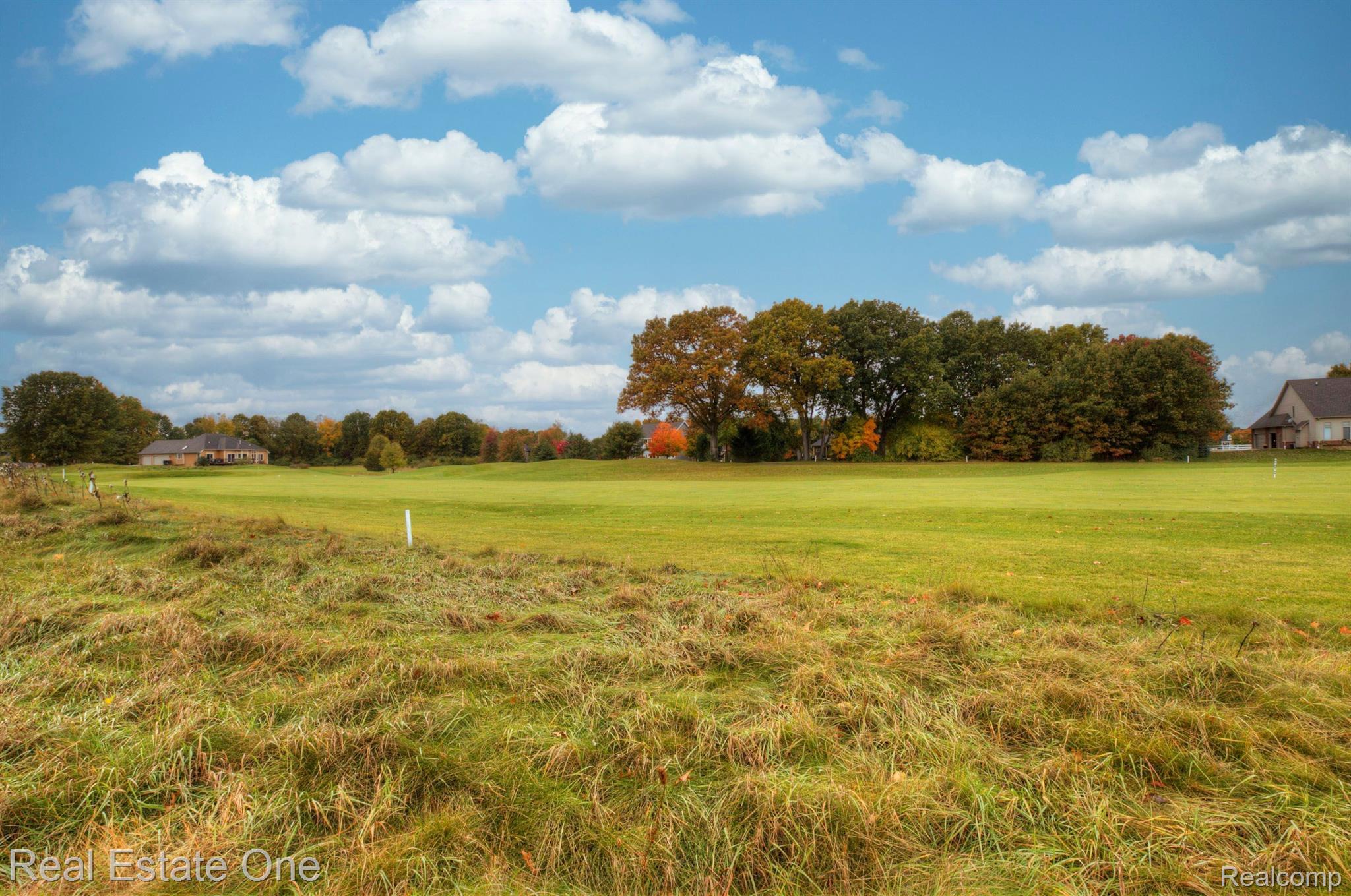 3593 Outback Trail Pinckney, MI 48169 - Photo 14 of 71 Gallery Image 14