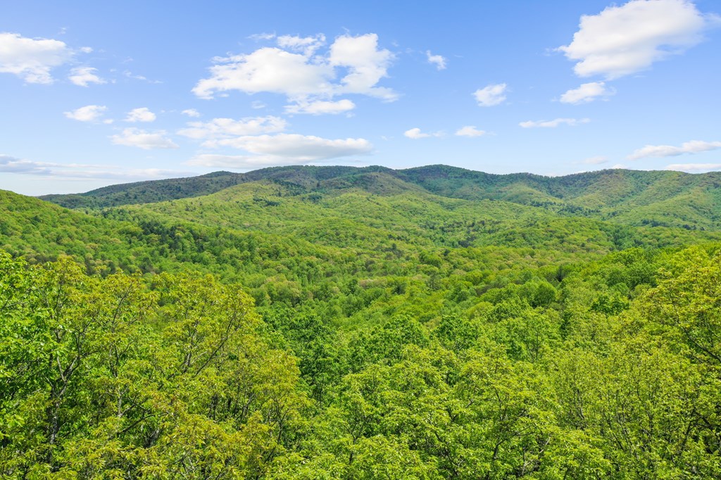 19 Forest Ridge Drive Blue Ridge, GA 30513 - Photo 2 of 46