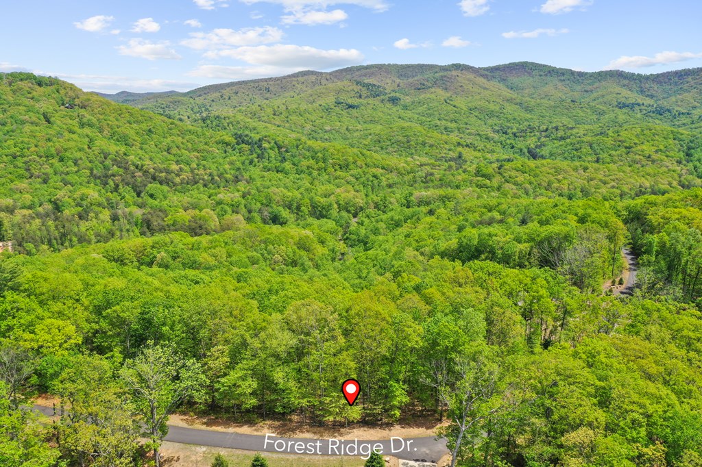 19 Forest Ridge Drive Blue Ridge, GA 30513 - Photo 42 of 46