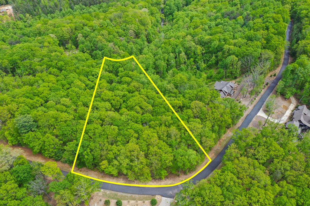 19 Forest Ridge Drive Blue Ridge, GA 30513 - Photo 43 of 46