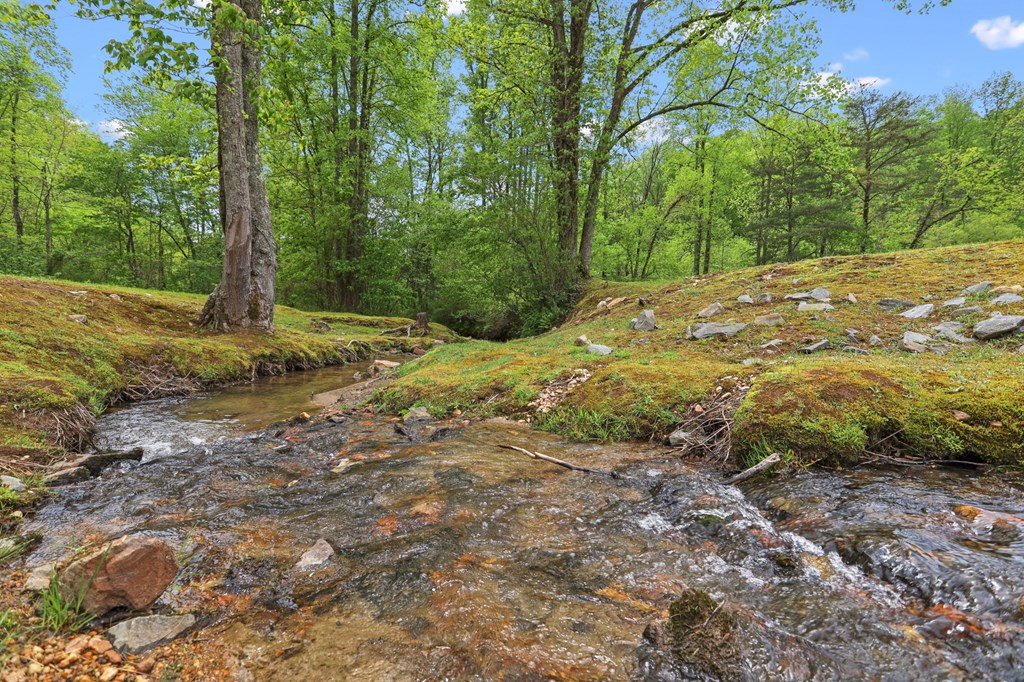 19 Forest Ridge Drive Blue Ridge, GA 30513 - Photo 46 of 46