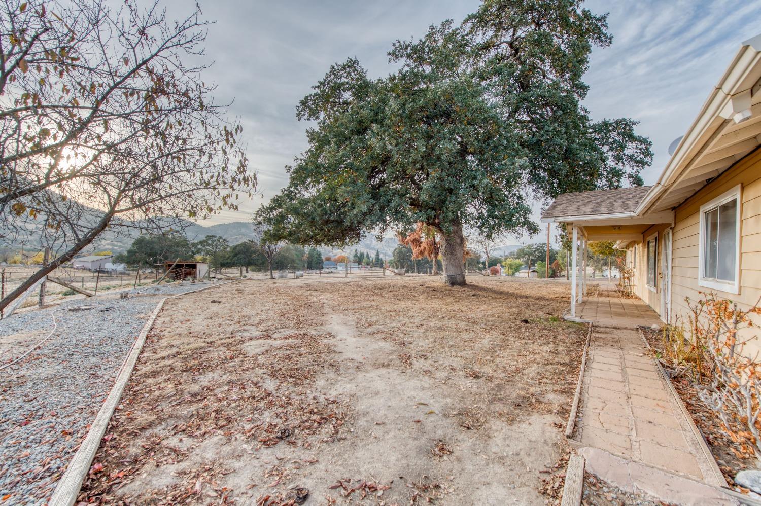 8062 Monreal Drive Sanger, CA 93657 - Photo 19 of 24 a view of a yard with plants and trees