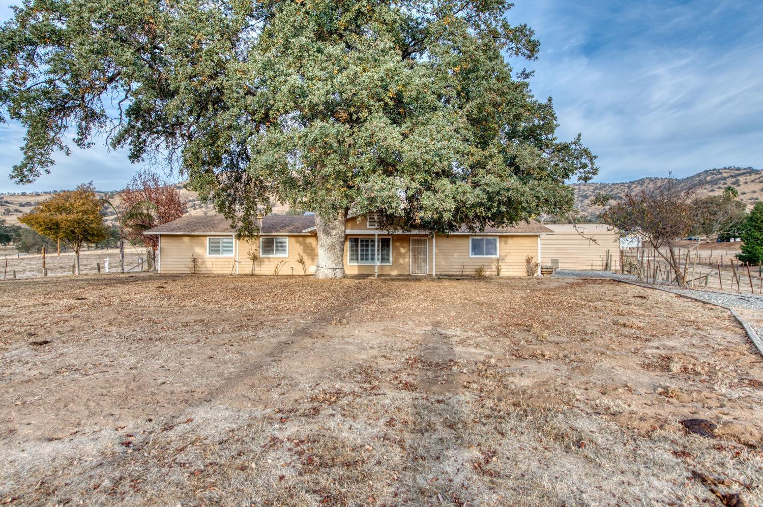 8062 Monreal Drive Sanger, CA 93657 - Photo 20 of 24 a big yard with large trees