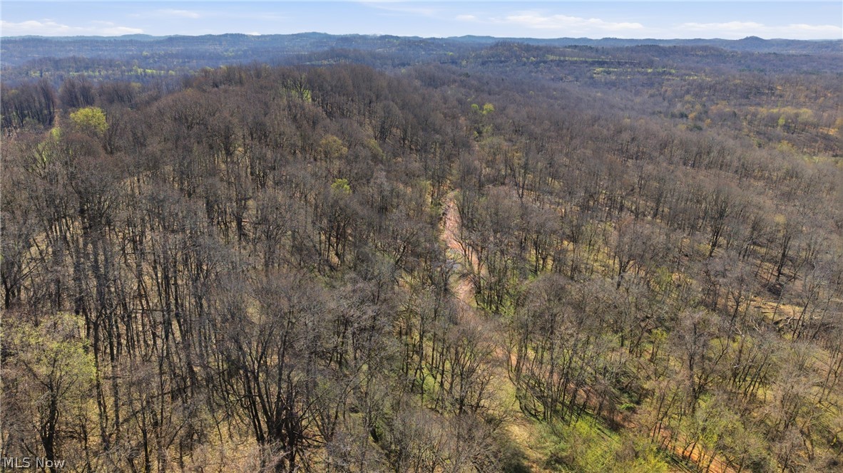 Logston Run Road Ravenswood, WV 26164 - Photo 6 of 10