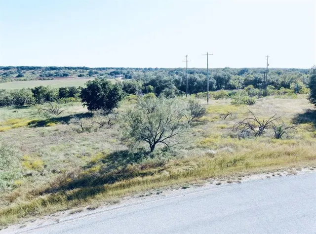a view of a dry yard with wooden fence