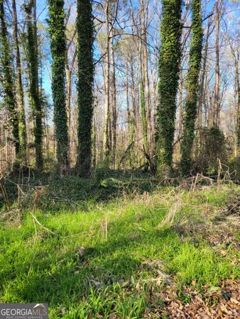 a view of a yard with a tree