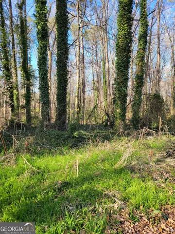 a view of a yard with a tree