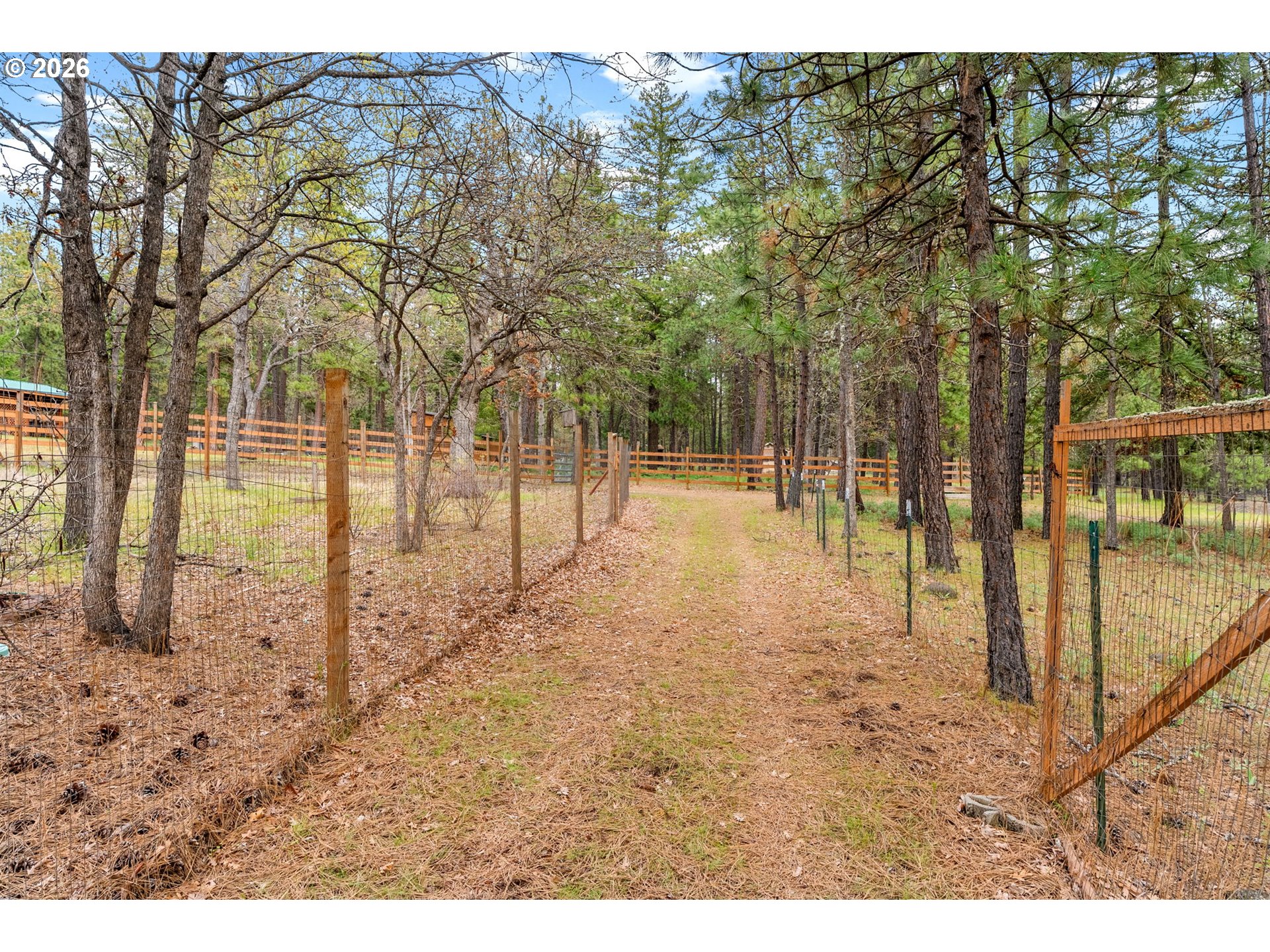 163 Goldenpine Goldendale, WA 98620 - Photo 7 of 43 a view of a yard with trees in the background