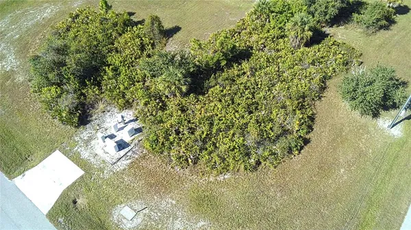 a view of a yard with plants