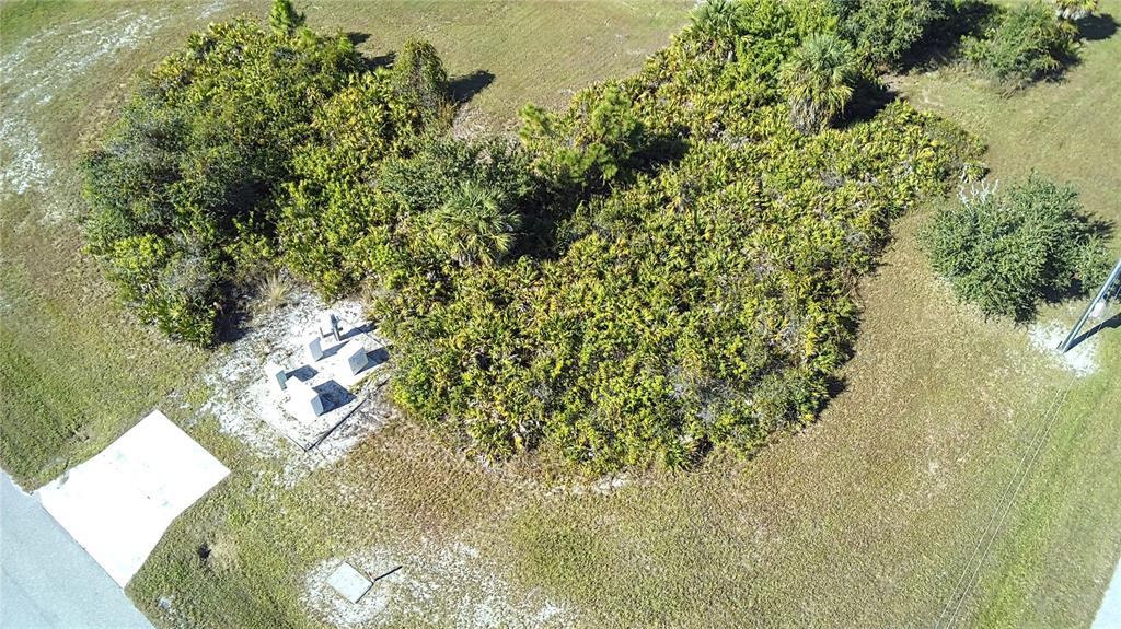 80 Brig Circle East Placida, FL 33946 - Photo 2 of 21 a view of a yard with plants