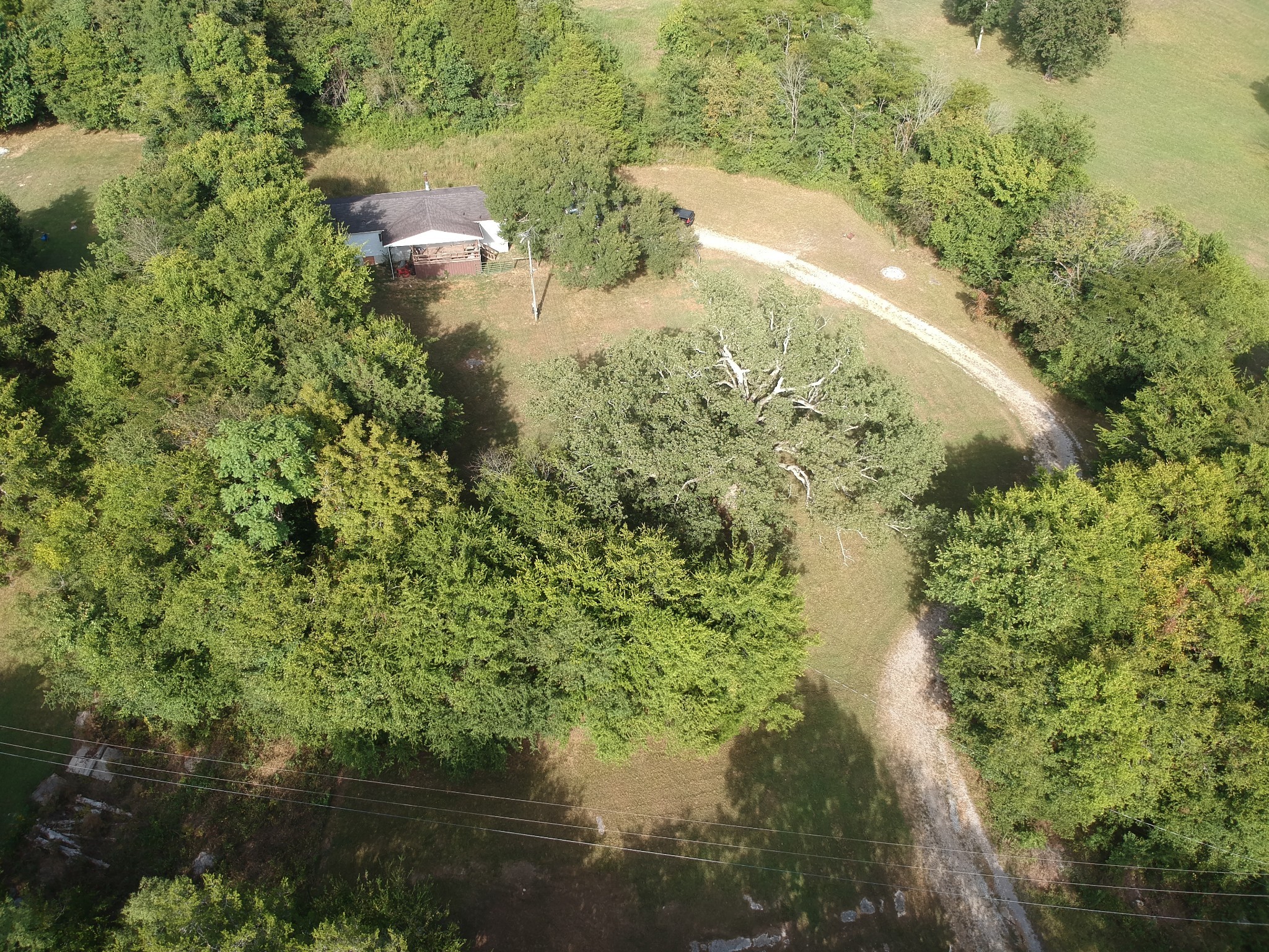 225 Opossum Hollow Road Watertown, TN 37184 - Photo 7 of 29 a view of a lake from a yard