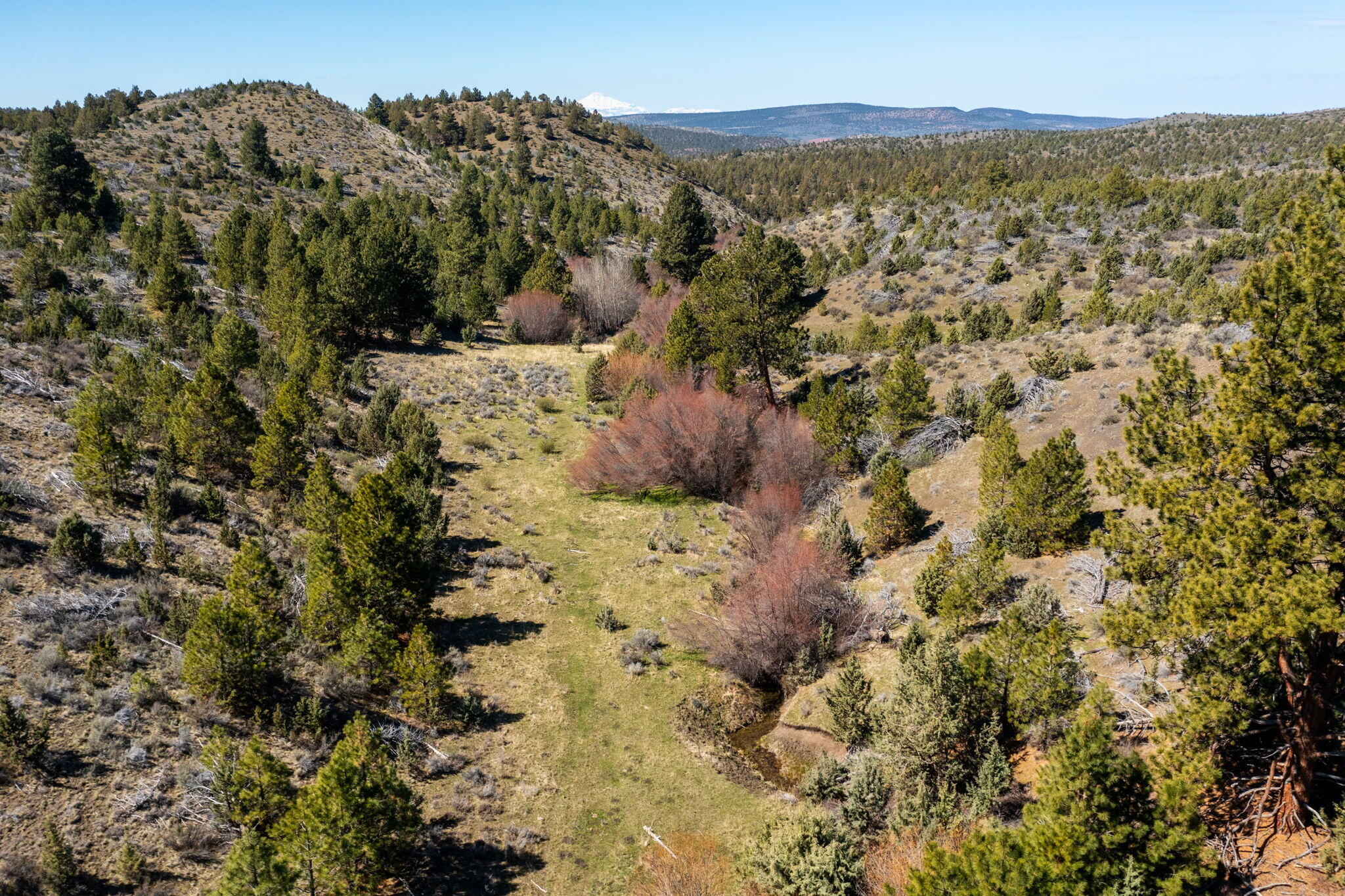 0 Southeast Grizzly Road, Unit 1215000000100 Madras, OR 97741 - Photo 29 of 39 a view of a forest with a mountain in the background