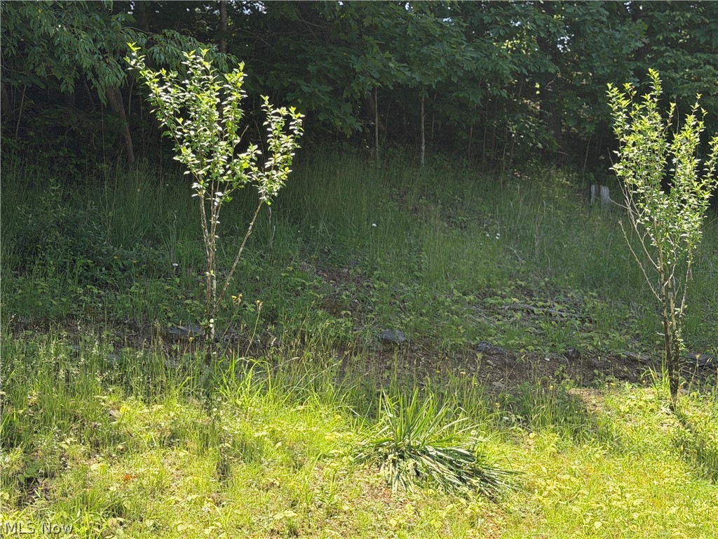 345 Tower Flat Top, WV 25841 - Photo 8 of 18