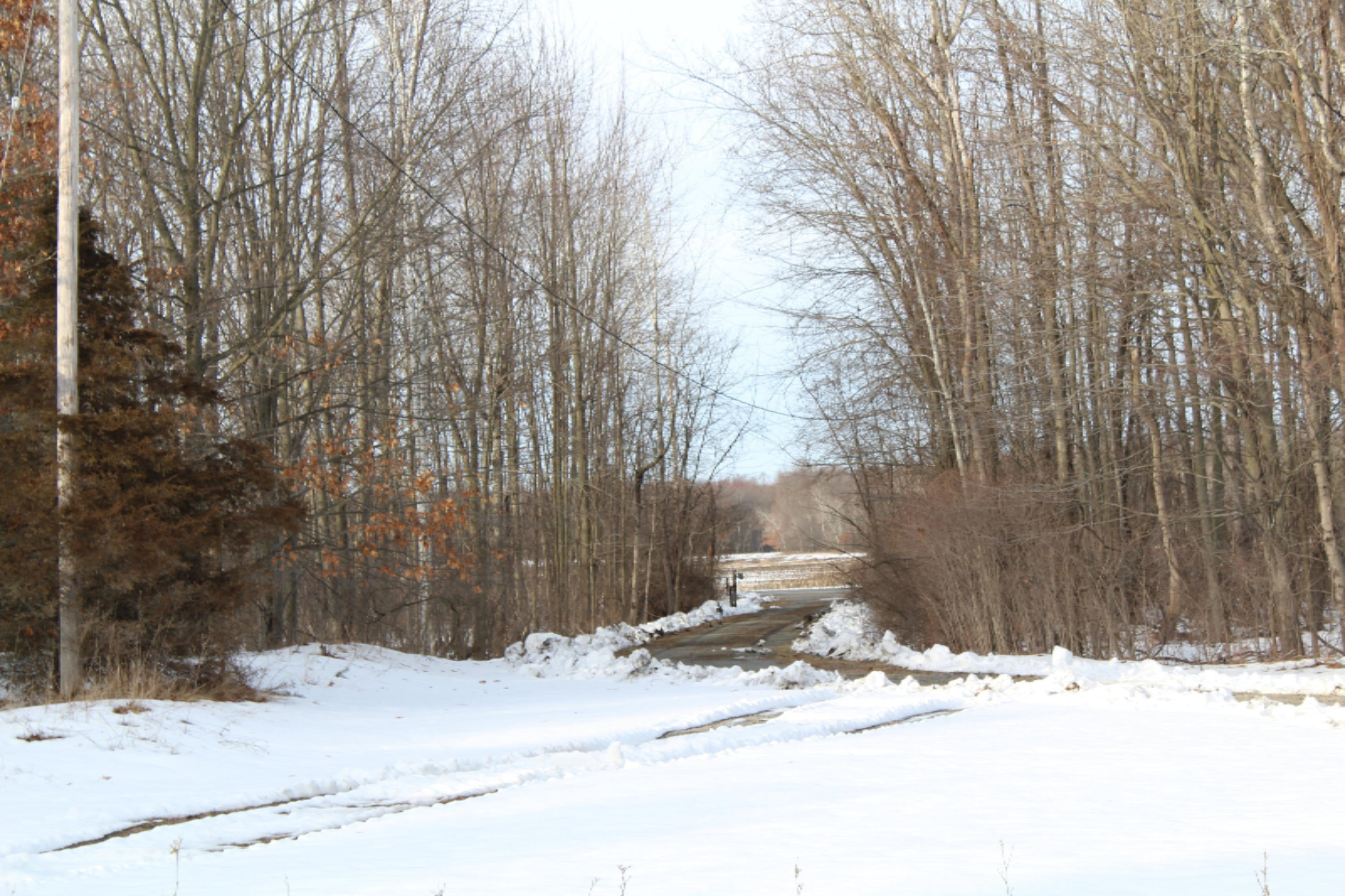 12121 Bailey Road Ravenna, MI 49451 - Photo 1 of 24 IMG_0131