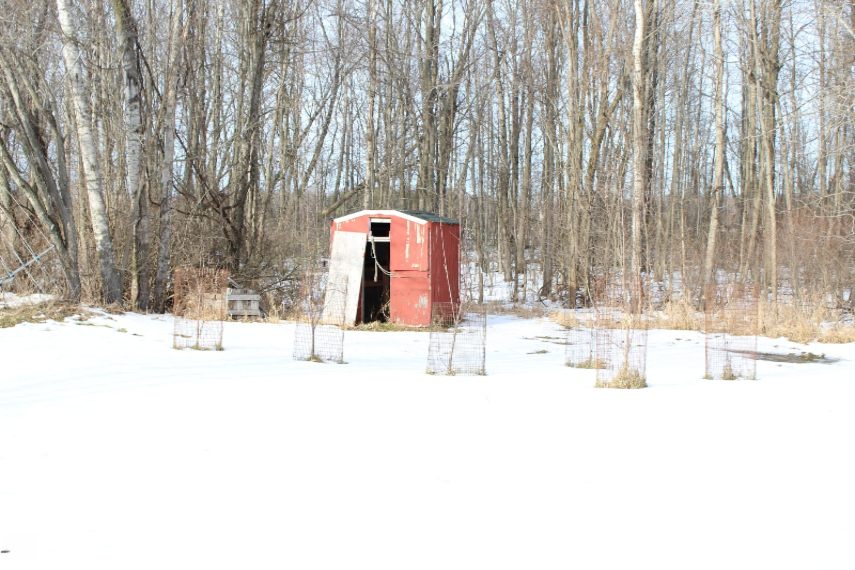 12121 Bailey Road Ravenna, MI 49451 - Photo 13 of 24 IMG_0119 - Copy