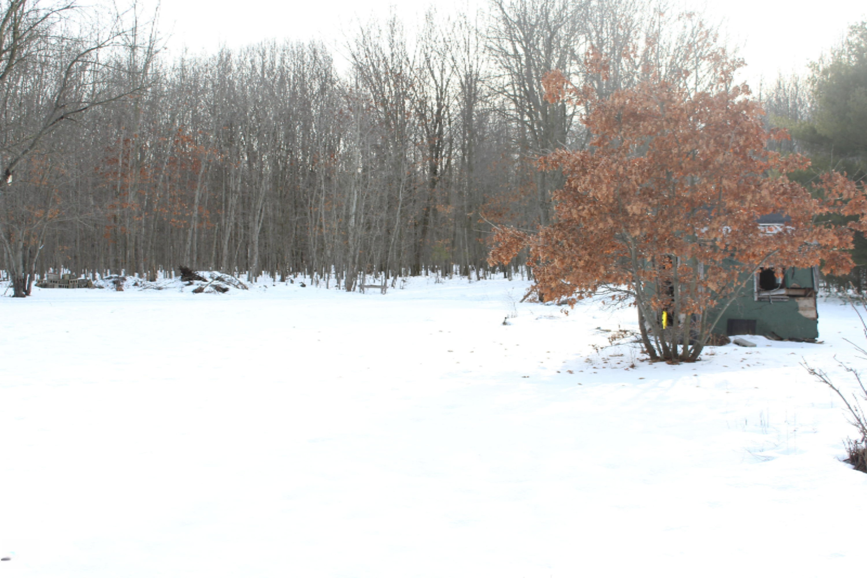 12121 Bailey Road Ravenna, MI 49451 - Photo 15 of 24 IMG_0128
