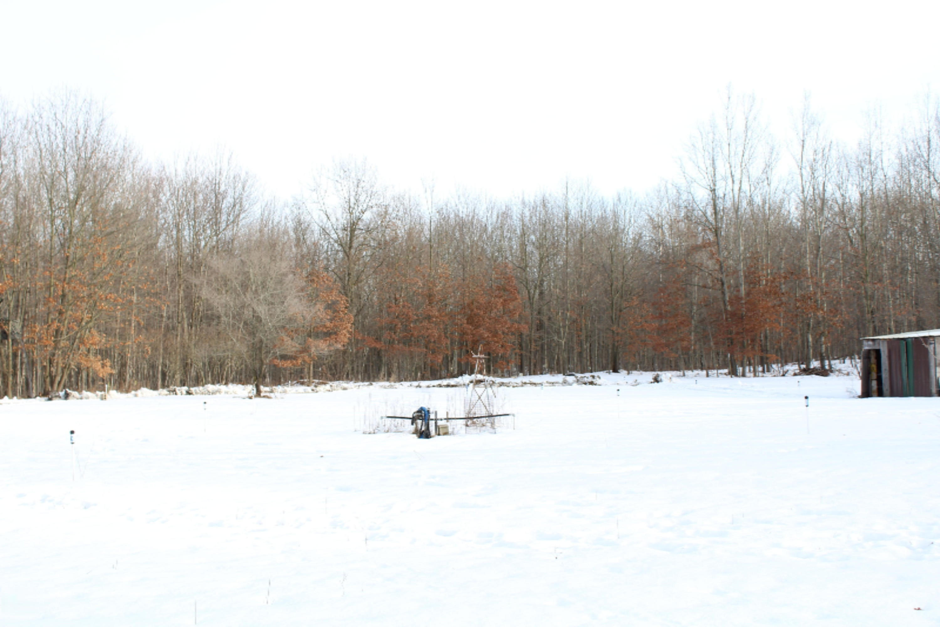 12121 Bailey Road Ravenna, MI 49451 - Photo 17 of 24 IMG_0133