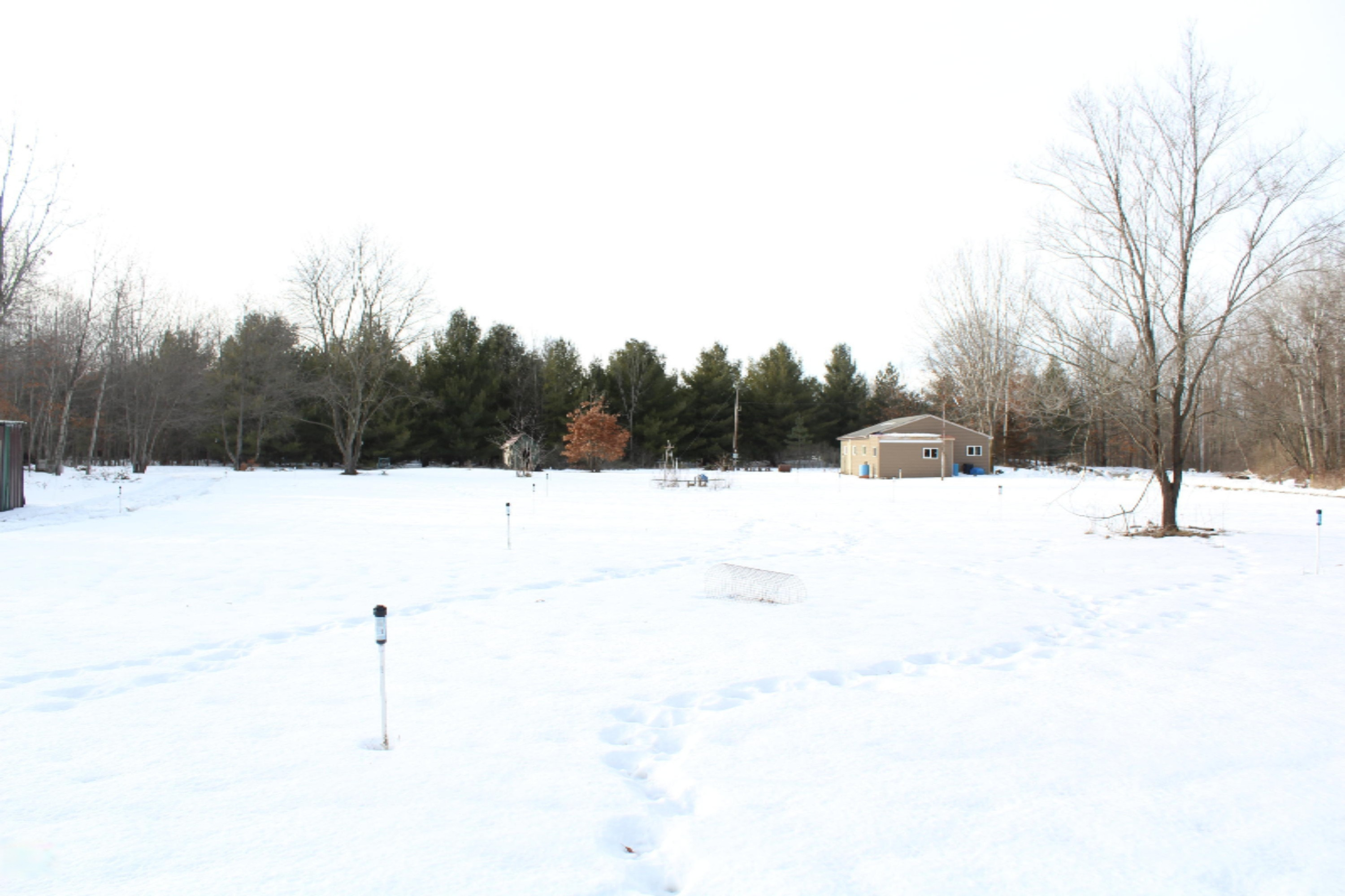 12121 Bailey Road Ravenna, MI 49451 - Photo 18 of 24 IMG_0136