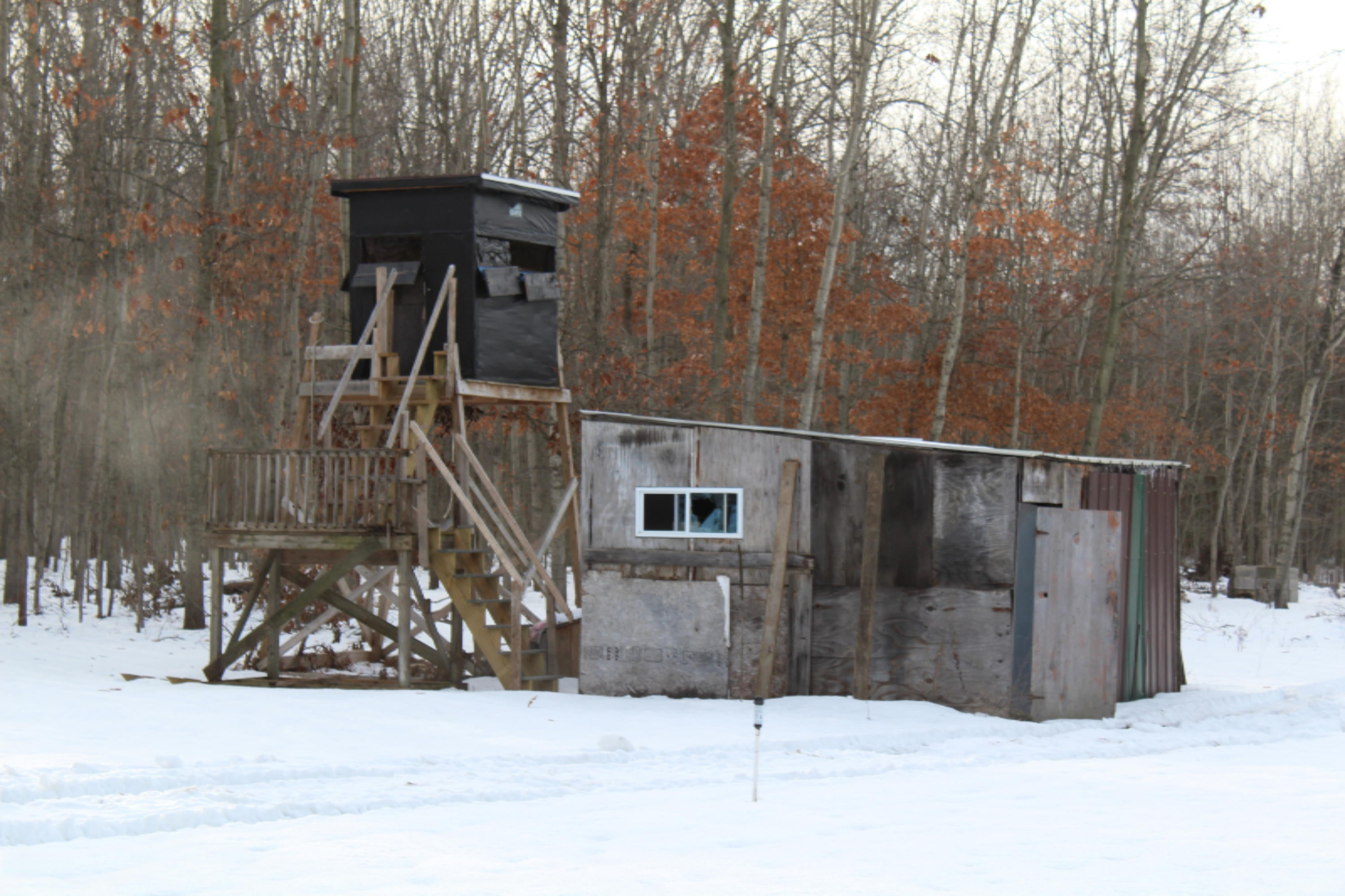 12121 Bailey Road Ravenna, MI 49451 - Photo 20 of 24 IMG_0138