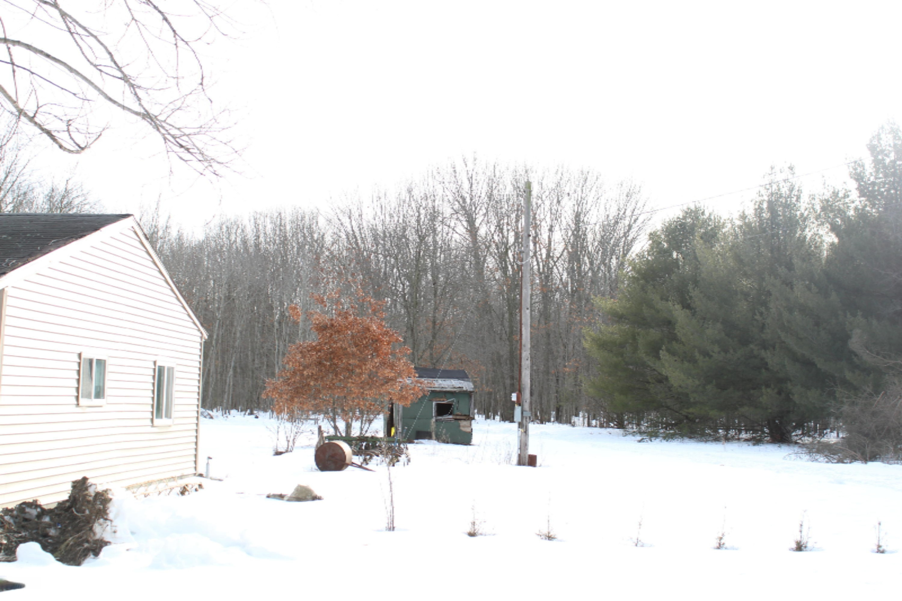 12121 Bailey Road Ravenna, MI 49451 - Photo 7 of 24 IMG_0121