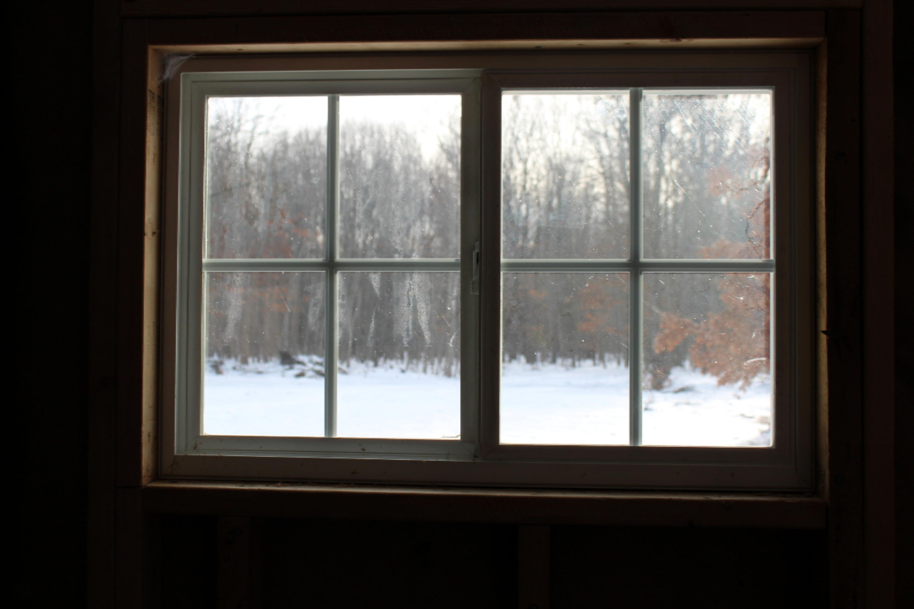 12121 Bailey Road Ravenna, MI 49451 - Photo 9 of 24 IMG_0126