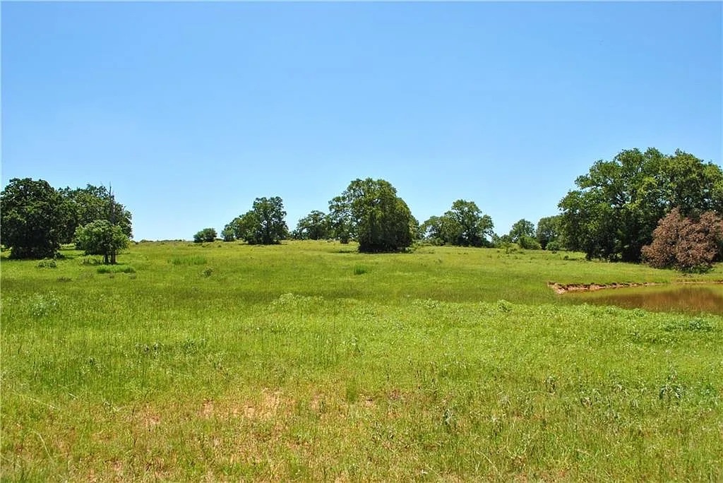 21741 East Interstate 10 Luling, TX 78648 - Photo 2 of 11 Rolling green pastures and scattered mature trees define this expansive, private parcel, complete with a serene pond.