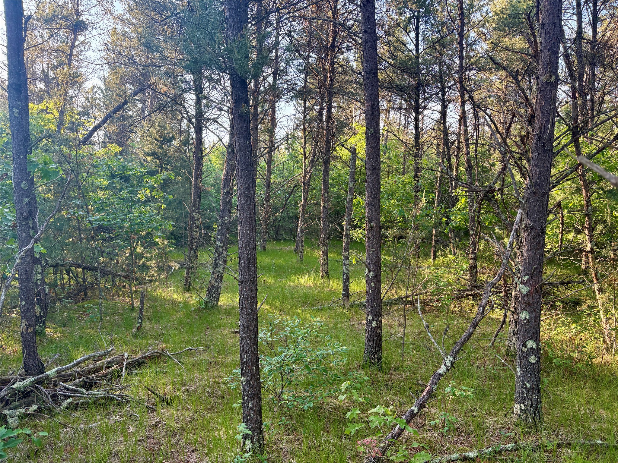 0 Cty Road Augusta, WI 54722 - Photo 32 of 53