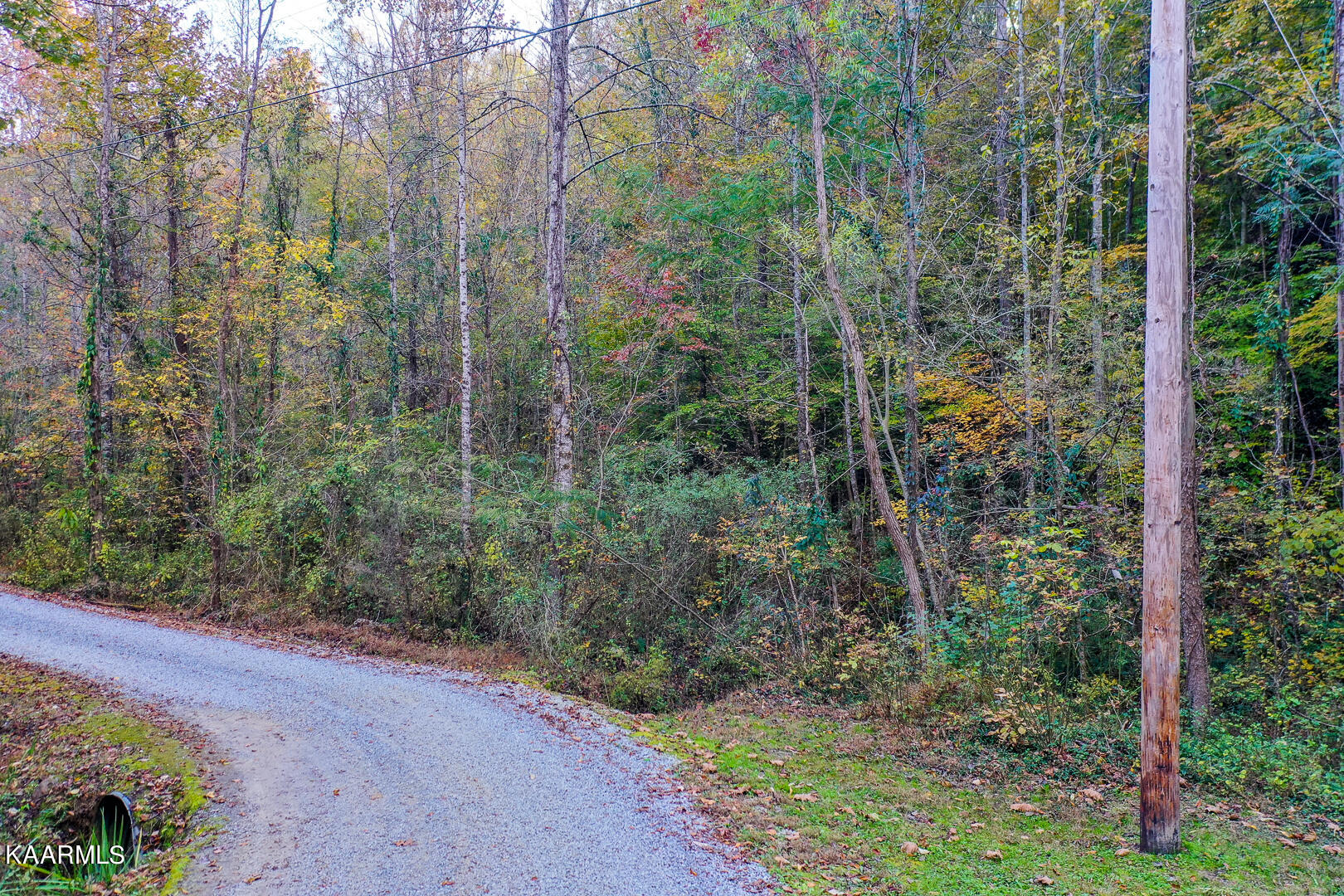 410 Trails End Road Walland, TN 37886 - Photo 3 of 13 -property to the right