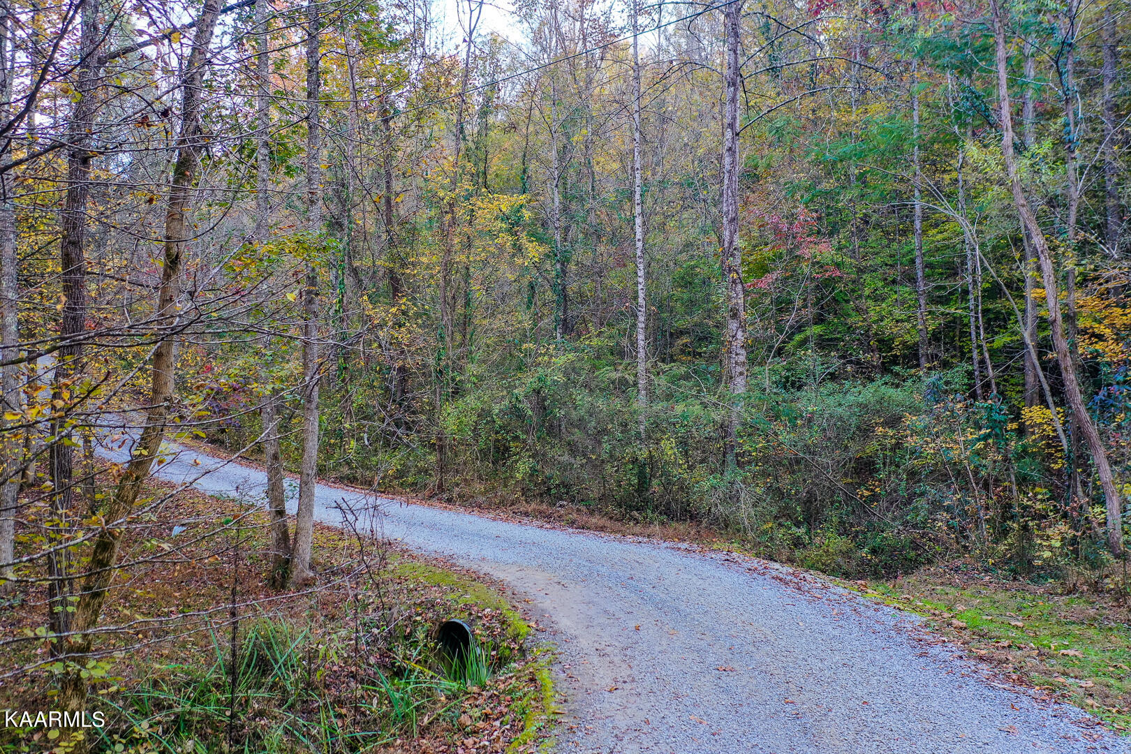 410 Trails End Road Walland, TN 37886 - Photo 4 of 13 --to the right
