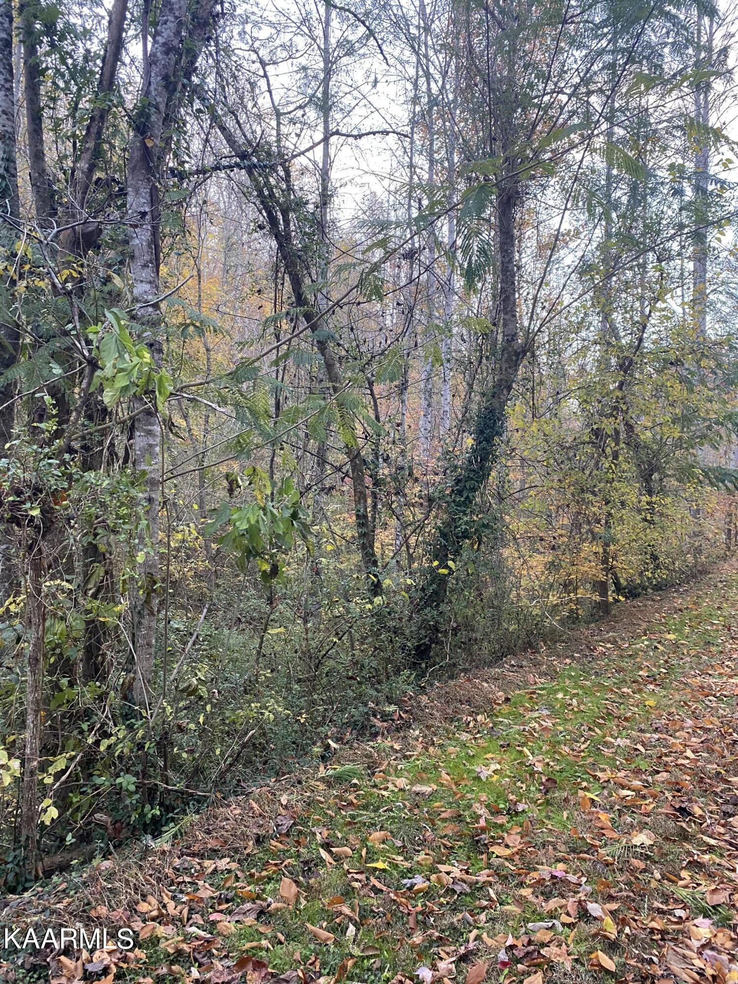 410 Trails End Road Walland, TN 37886 - Photo 7 of 13 410 Trails End from the road