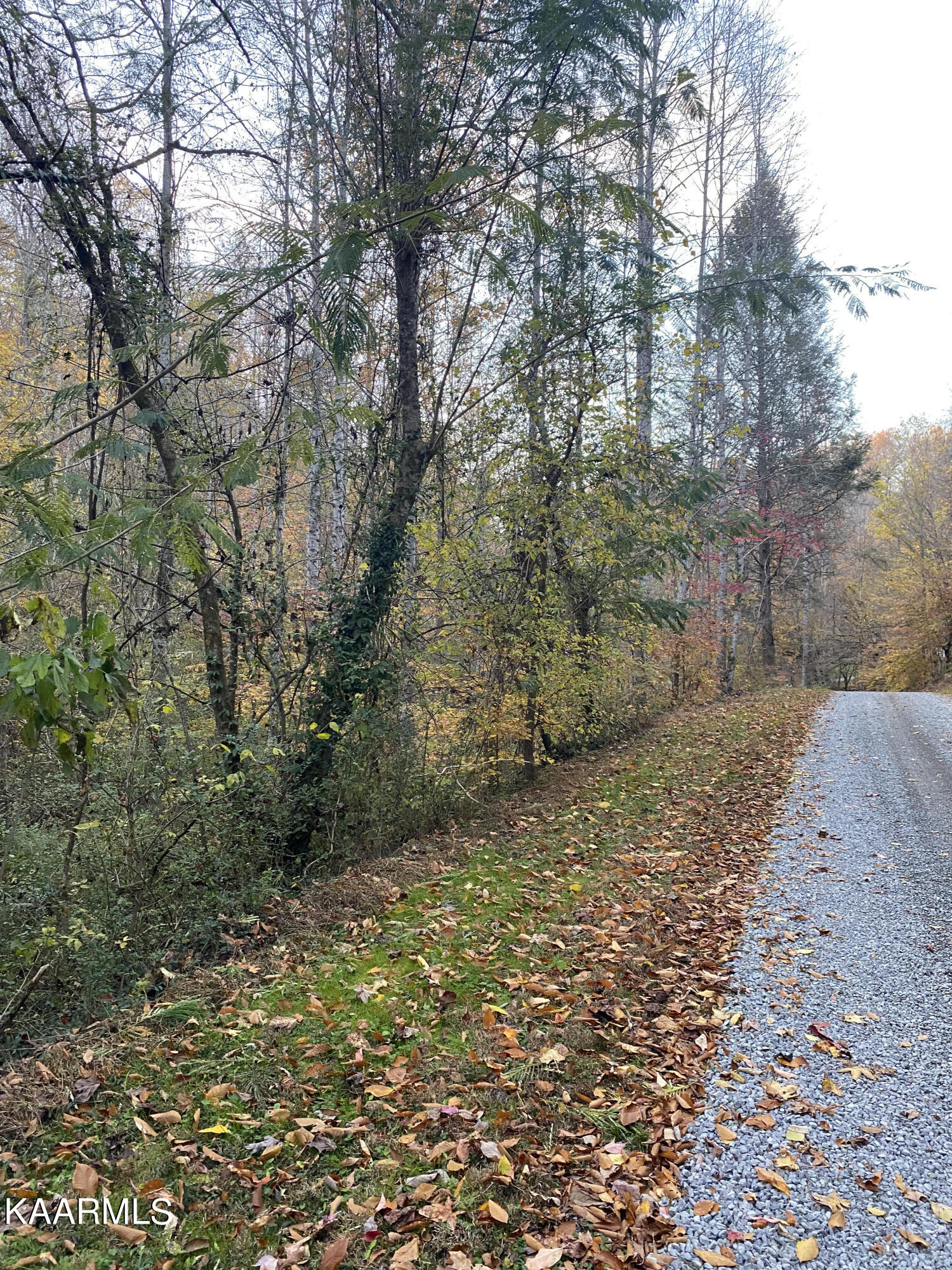 410 Trails End Road Walland, TN 37886 - Photo 8 of 13 property to the left in this photo