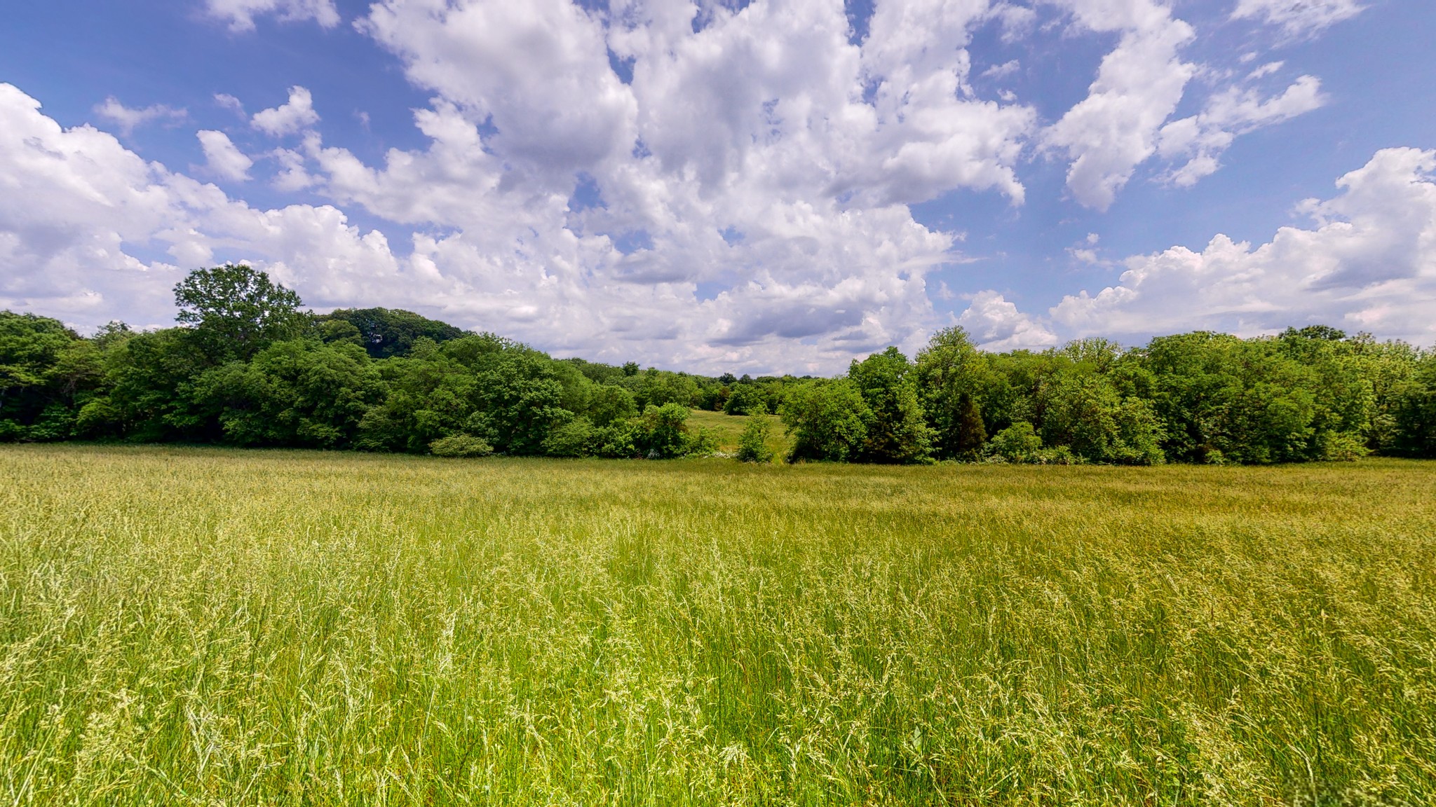 920 York Road Mount Juliet, TN 37122 - Photo 45 of 57 Gallery Image 45