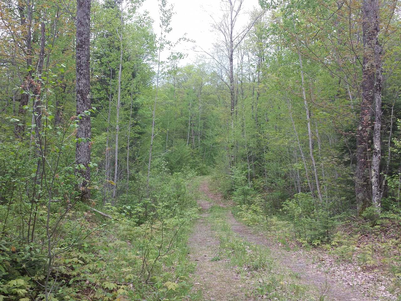 On On Branch Road Hurley, WI 54534 - Photo 3 of 6 Gallery Image 3