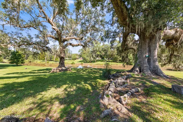 $765,000 | 1058 Angelwood Circle, Breaux Bridge, LA 70517