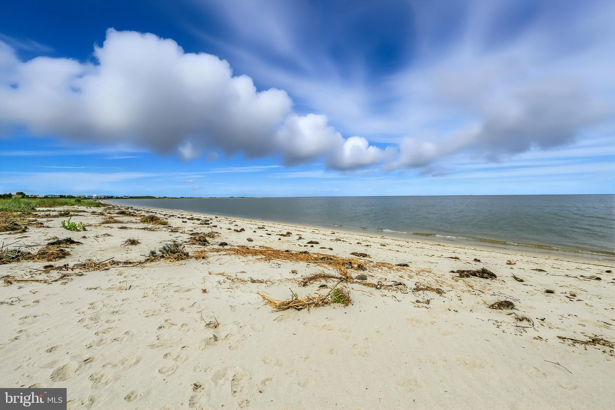 549 Bay Avenue Milford, DE 19963 - Photo 50 of 60