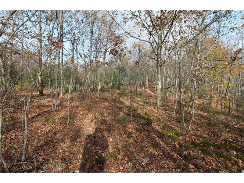 0 Hills Ridge Road Greene, ME 04236 - Photo 5 of 6 Land/Lot.
