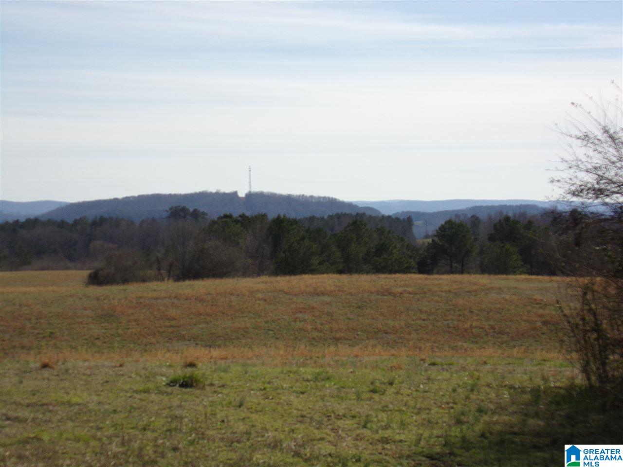 0 Posey Road, Unit TRACT 2 Blountsville, AL 35031 - Photo 2 of 9