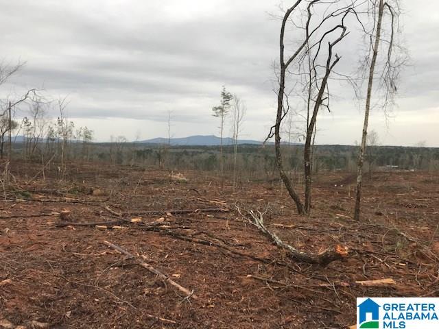 Griffitt Bend Road, Unit 93 Talladega, AL 35160 - Photo 1 of 7