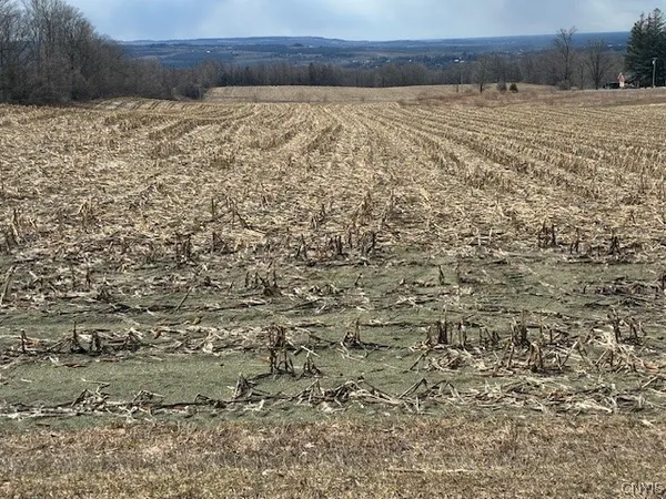 $75,000 | Skyline Drive, Kirkland, NY 13323