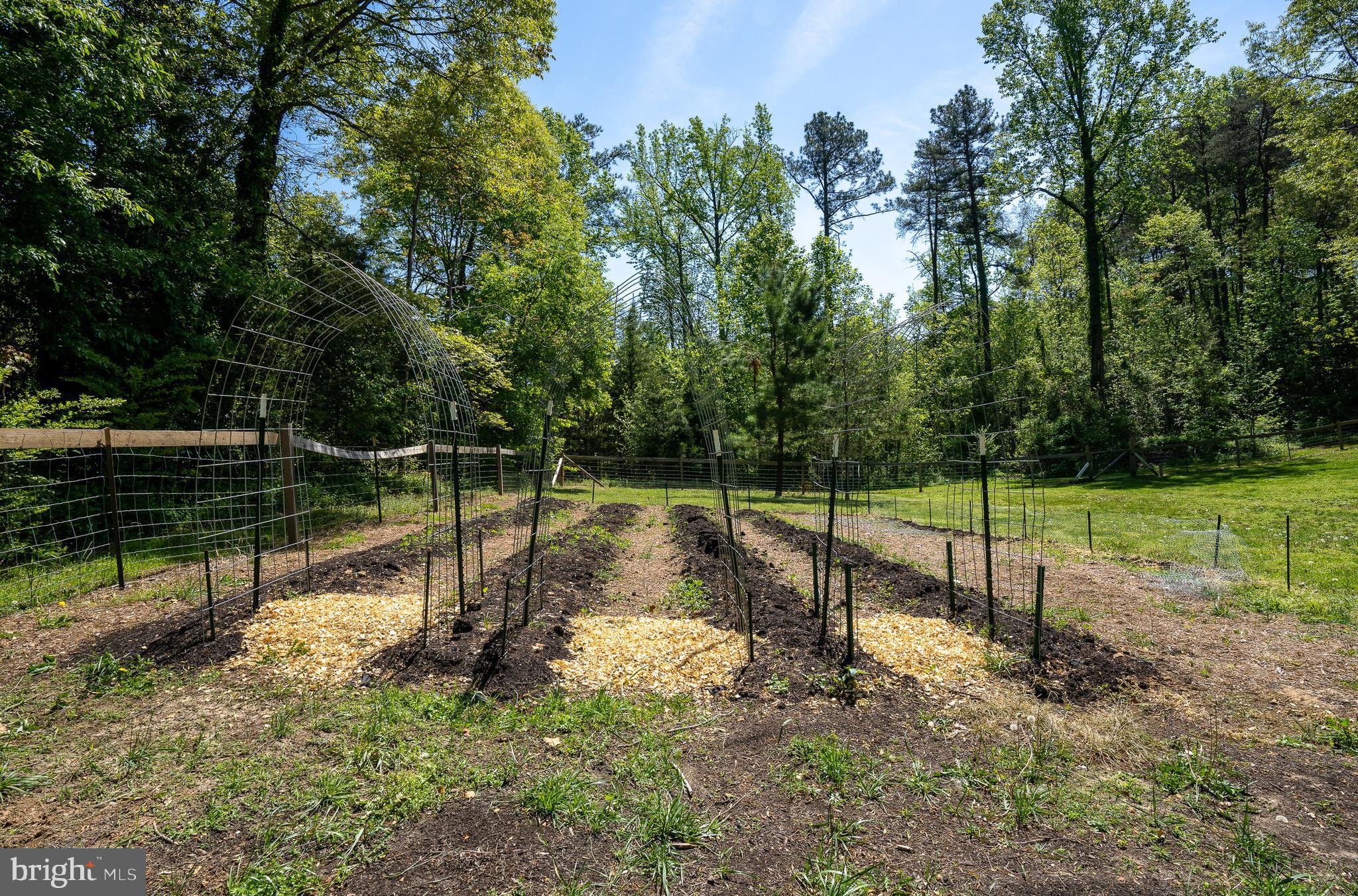 13162 Round Hill Road King George, VA 22485 - Photo 42 of 46 Gallery Image 42