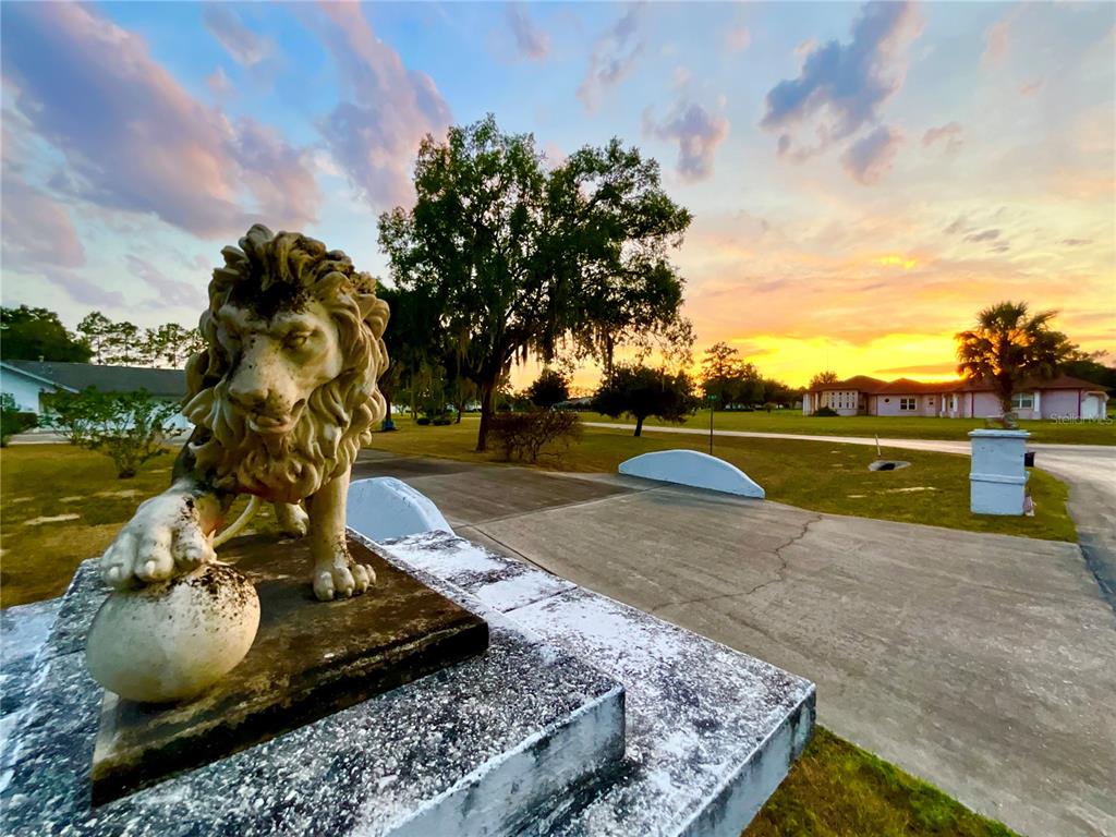 7205 Northeast 61st Ave Road Silver Springs, FL 34488 - Photo 42 of 64