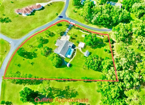 a garden with a lot of plants and flowers